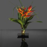 Arrangement Grand Tropical 4 Bouquets